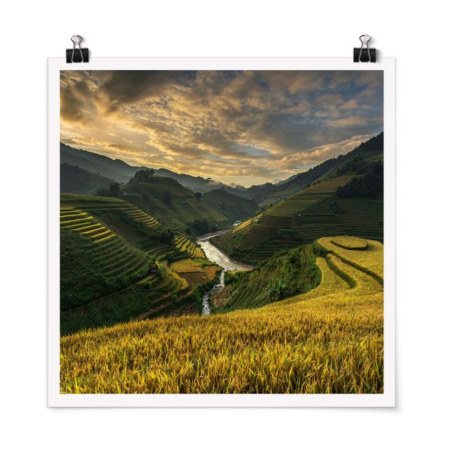 Poster Landschaft Reisplantagen in Vietnam