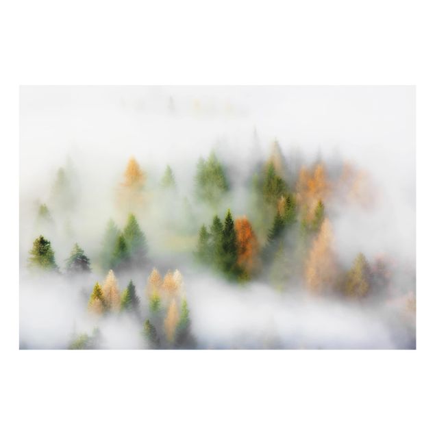 Spritzschutz Küche Nebelwald im Herbst