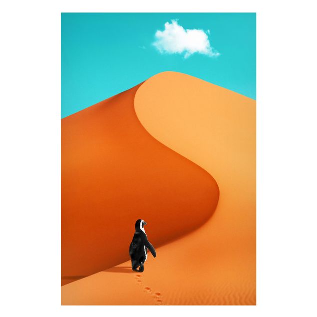 Jonas Loose Bilder Wüste mit Pinguin
