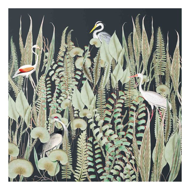Spritzschutz Glas - Flamingo und Storch mit Pflanzen auf Grün - Quadrat 1:1