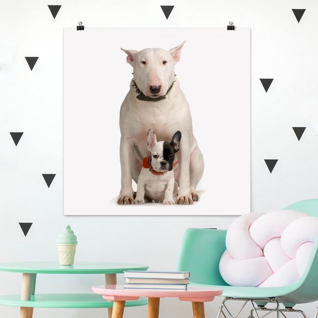 Poster Tiere Bull Terrier and friend