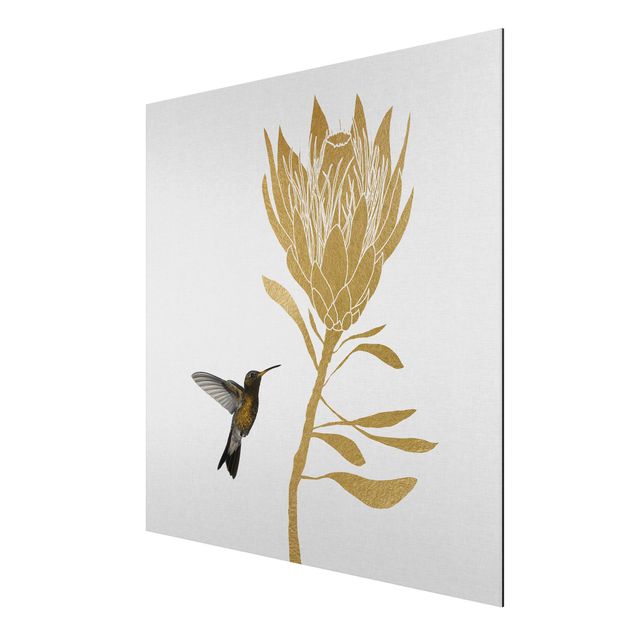 Alu-Dibond - Kolibri und tropische goldene Blüte - Quadrat