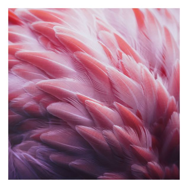 Spritzschutz Glas - Flamingofedern Close-up - Quadrat 1:1