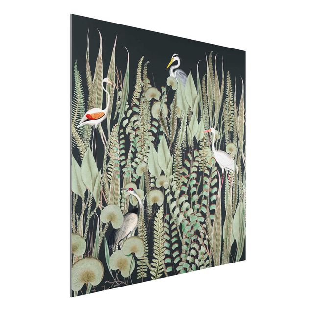 Alu-Dibond - Flamingo und Storch mit Pflanzen auf Grün - Quadrat