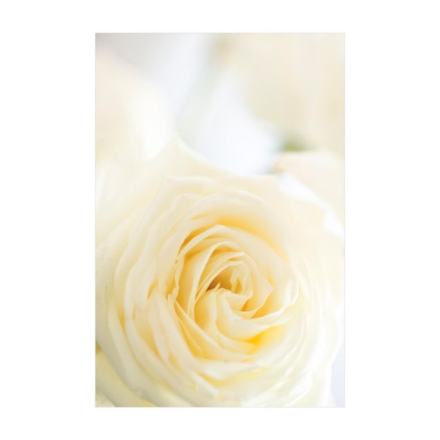 Teppich weiß White Rose