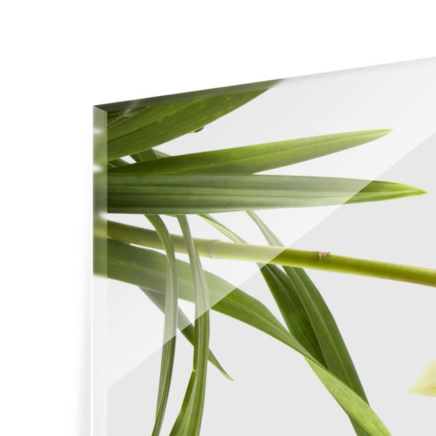Spritzschutz Glas - Elegant Orchid Waters - Querformat - 2:1