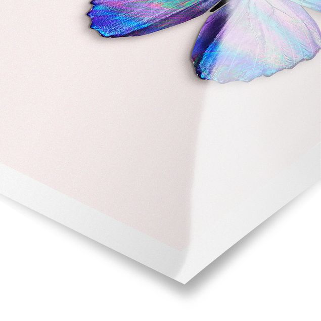 Poster kaufen Holografischer Schmetterling
