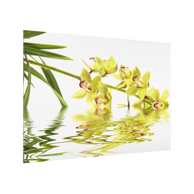 Küchenspritzschutz Elegant Orchid Waters