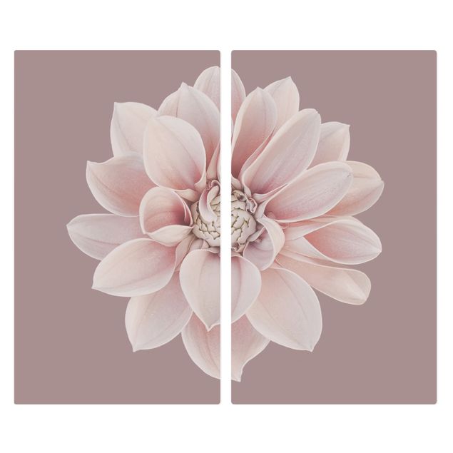 Herdabdeckplatte Glas - Dahlie Blume Lavendel Weiß Rosa - 52x60cm