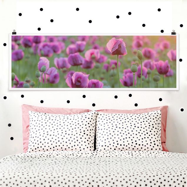 Poster Mohnblumen Violette Schlafmohn Blumenwiese im Frühling