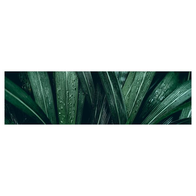 Küchenrückwand Motiv Grüne Palmenblätter