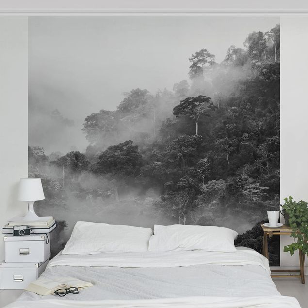 Fototapete - Dschungel im Nebel Schwarz Weiß - Fototapete