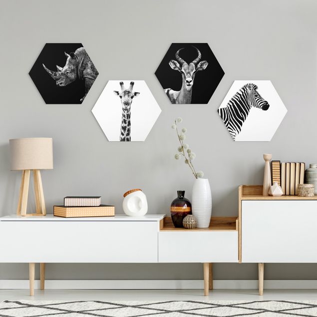 Hexagon Bilder Safari Quartett