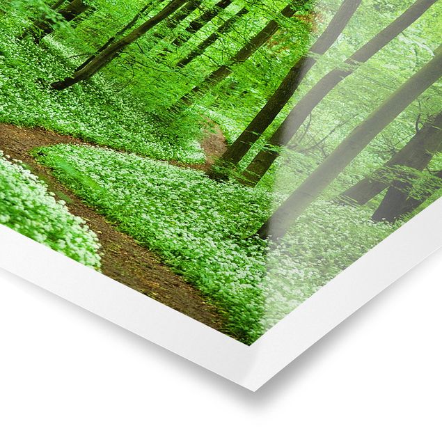 Poster - Romantischer Waldweg - Hochformat 3:2
