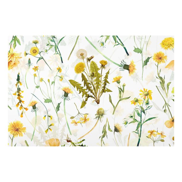 Spritzschutz Glas - Gelbe Wildblumen - Querformat 3:2