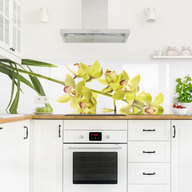 Küchenspiegel Elegant Orchid Waters