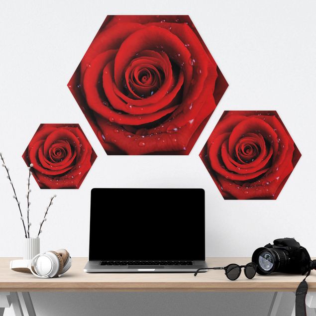 Hexagon Bild Forex - Rote Rose mit Wassertropfen