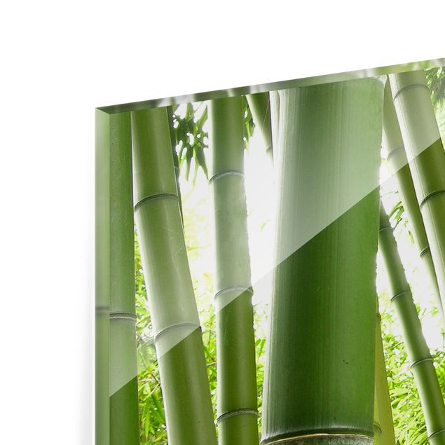 Spritzschutz Glas - Bamboo Trees - Panorama - 5:2