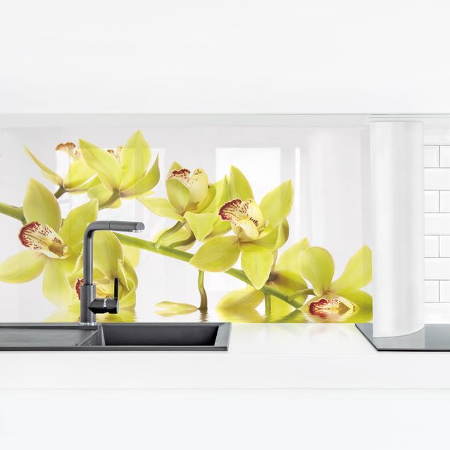 Küchenrückwand selbstklebend Elegant Orchid Waters