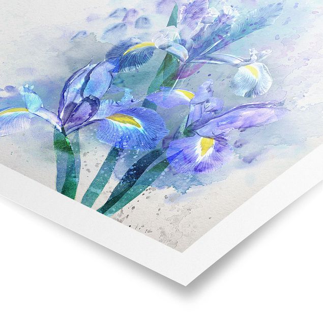 Wandbilder Aquarell Blumen Iris
