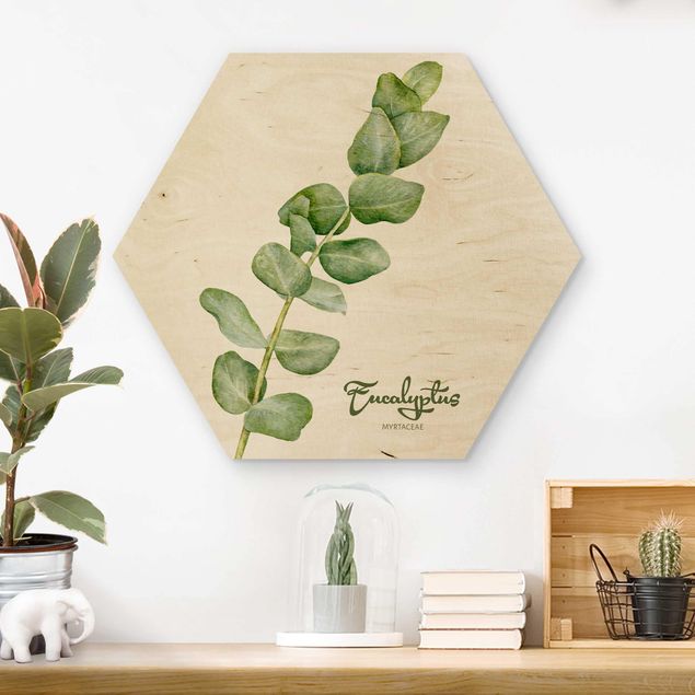 Hexagon Bild Holz - Aquarell Botanik Eukalyptus