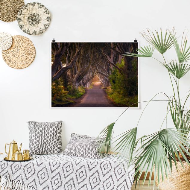 Wald Poster Tunnel aus Bäumen