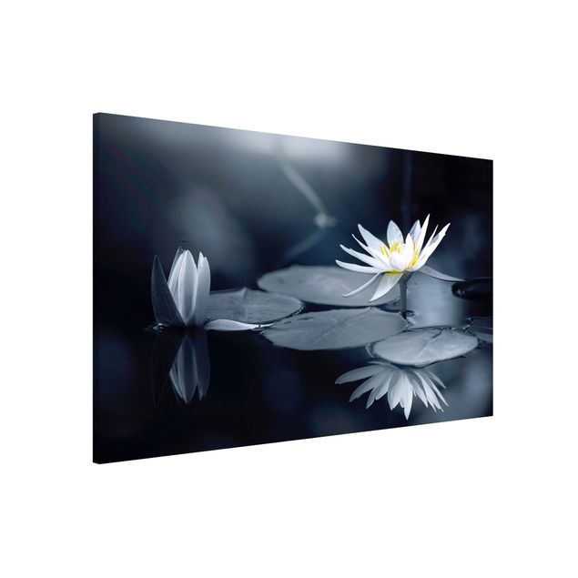 Magnettafel - Lotus Spiegelung im Wasser - Hochformat 3:2