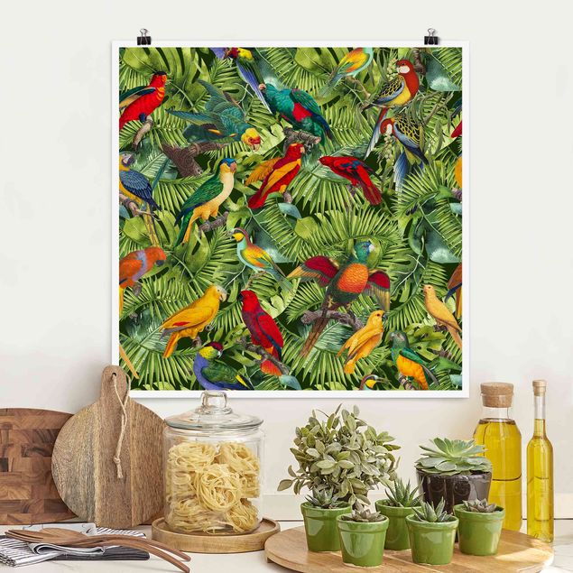 Wand Poster XXL Bunte Collage - Papageien im Dschungel