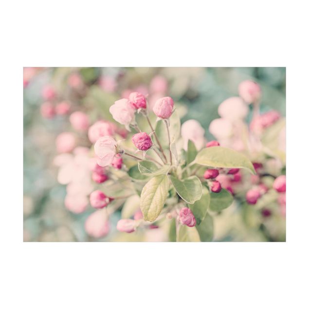 Teppich rosa Apfelblüte Bokeh rosa