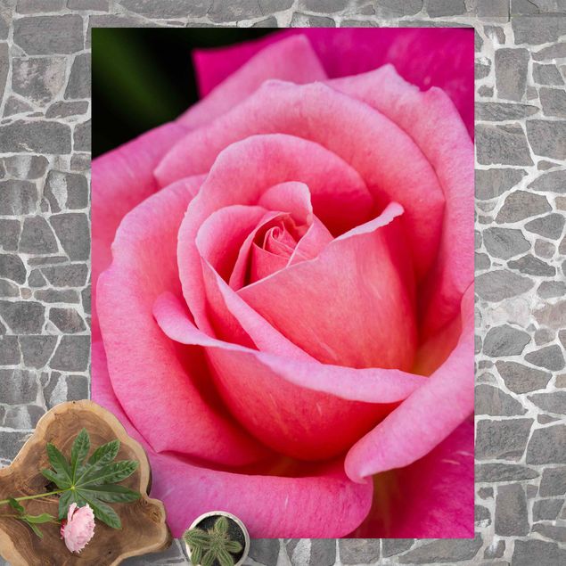 Teppich für Balkon Pinke Rosenblüte vor Grün
