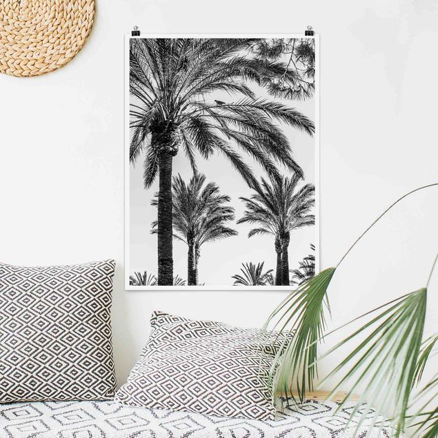 XXL Poster Palmen im Sonnenuntergang Schwarz-Weiß