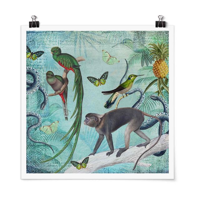 Tierposter Colonial Style Collage - Äffchen und Paradiesvögel