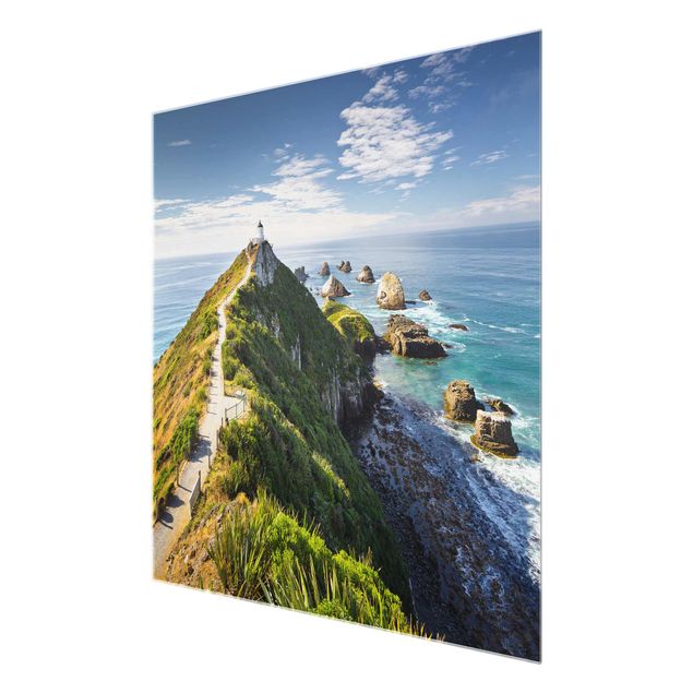 Bilder auf Glas Nugget Point Leuchtturm und Meer Neuseeland