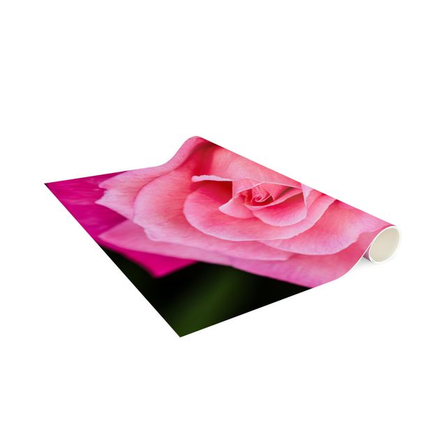 teppich mit blumenmuster Pinke Rosenblüte vor Grün