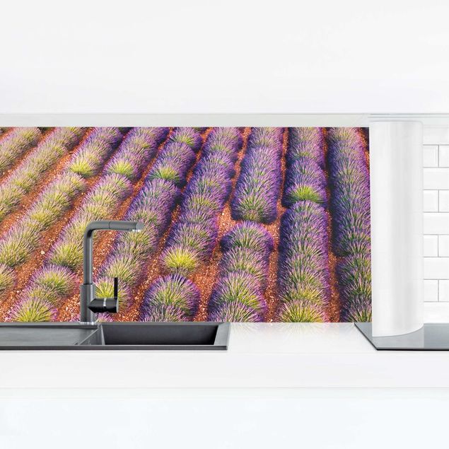 Küchenspiegel Malerisches Lavendelfeld