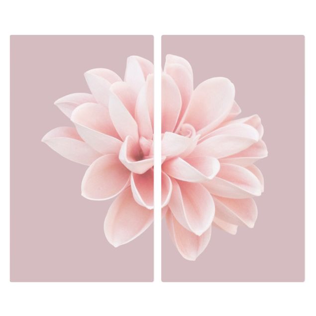 Herdabdeckplatte Glas - Dahlie Blume Lavendel Rosa Weiß - 52x60cm