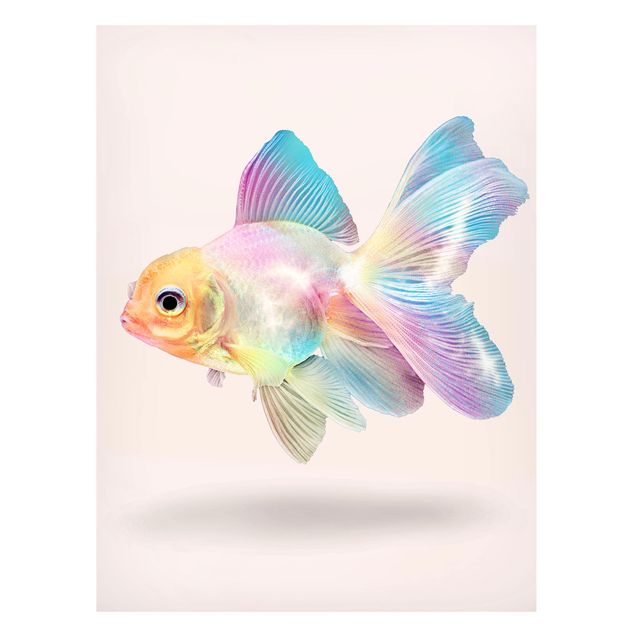 schöne Bilder Fisch in Pastell