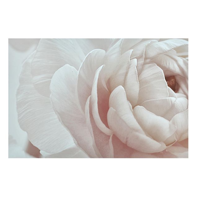 Magnettafel - Weiße Blüte im Blütenmeer - Hochformat 3:2