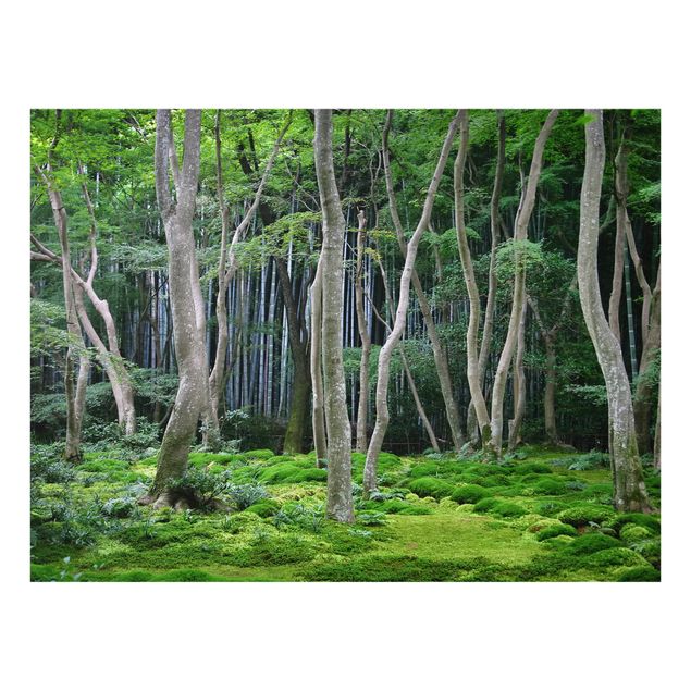 Spritzschutz Japanischer Wald