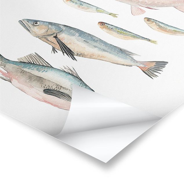 Poster - Sieben Fische in Aquarell II - Hochformat 3:4