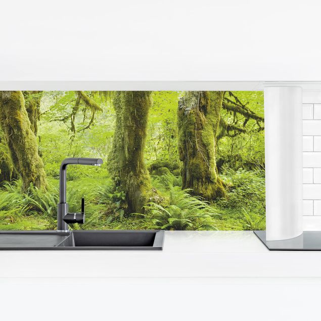 Küchenrückwand selbstklebend Hall of Mosses Olympic National Park