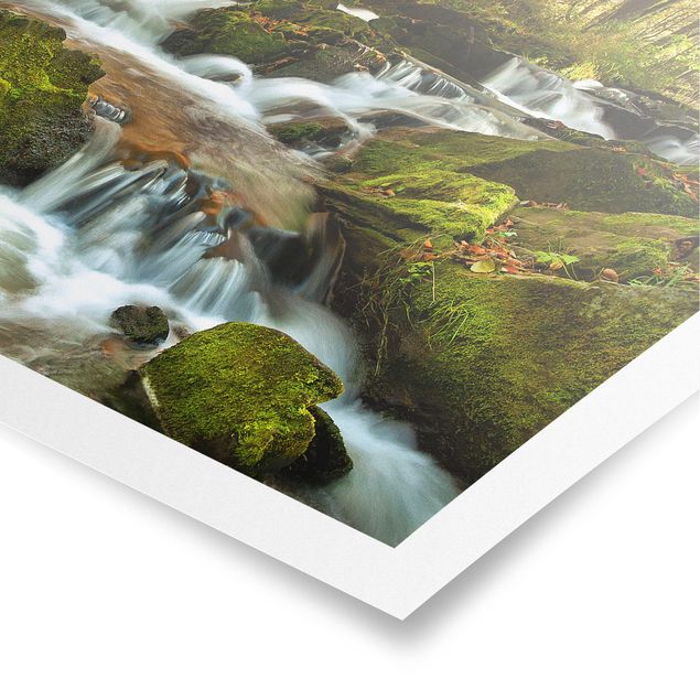 Poster kaufen Wasserfall herbstlicher Wald