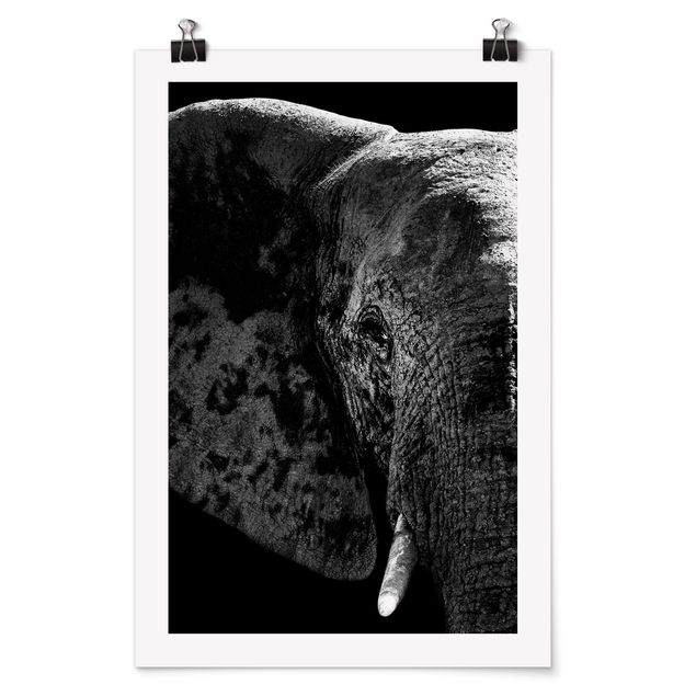 Poster - Afrikanischer Elefant schwarz-weiß - Hochformat 3:2