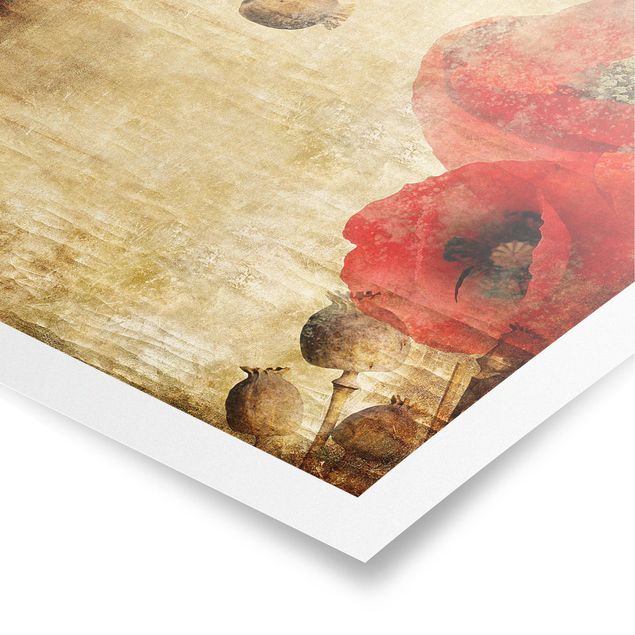 Poster - Poppy Flower - Quadrat 1:1