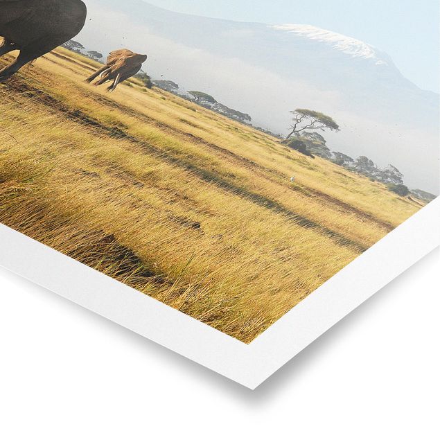 Poster - Elefanten vor dem Kilimanjaro in Kenya - Querformat 2:3