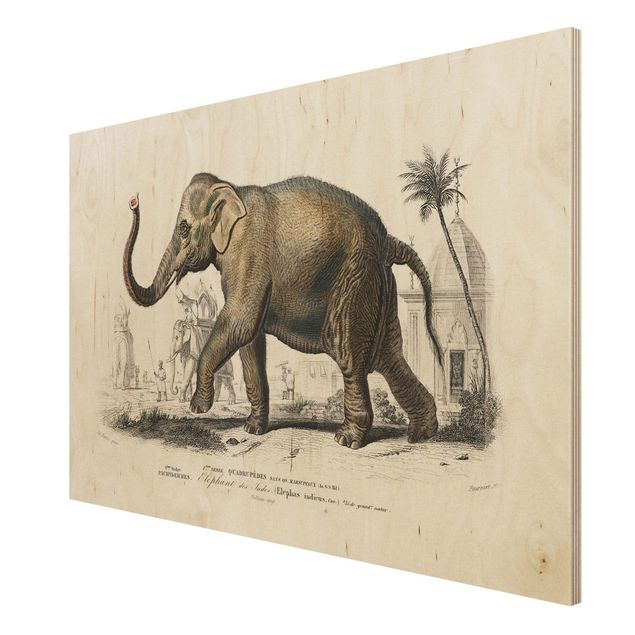 Wandbild Holz Vintage Lehrtafel Elefant