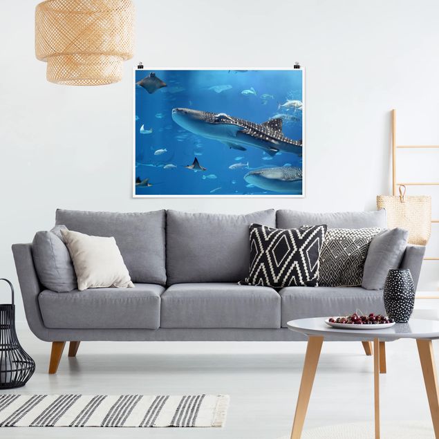XXL Poster Fish in the Sea