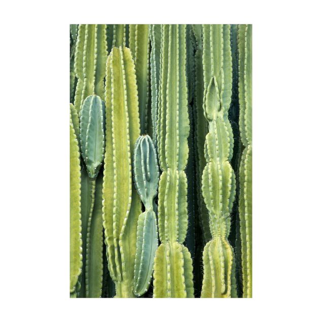 Teppich grün Kaktus Wand