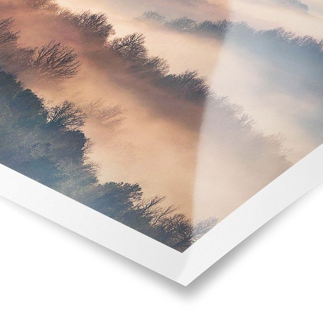 Poster - Nebel bei Sonnenuntergang - Quadrat 1:1