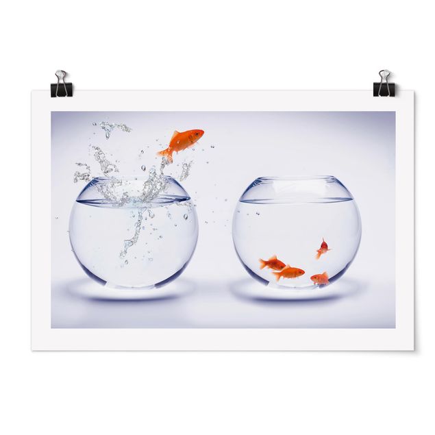 Moderne Poster Flying Goldfish